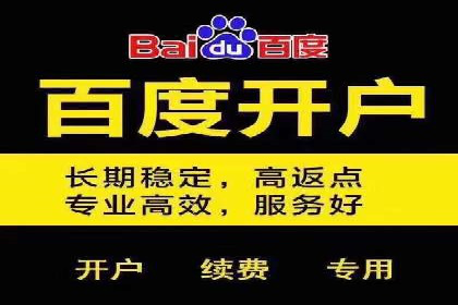 SEM推广策略：成功案例解析